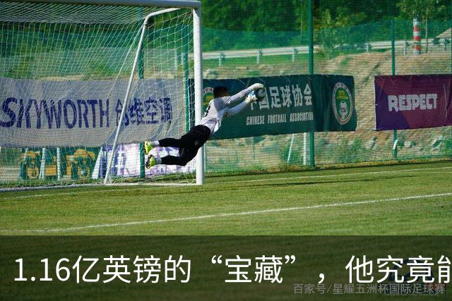 1.16亿英镑的“宝藏”，他究竟能否绽放光芒？